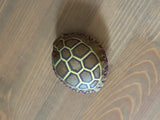 Handmade Elk Rattle - No-Handle Turtle Shaker
