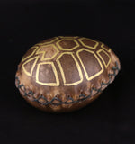 Handmade Painted Turtle Palm Rattle